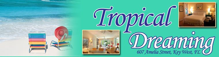 Tropical Dreaming, a vacation rental in Key West